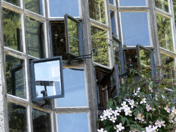 Bois des Moutiers (227) Mai 2012